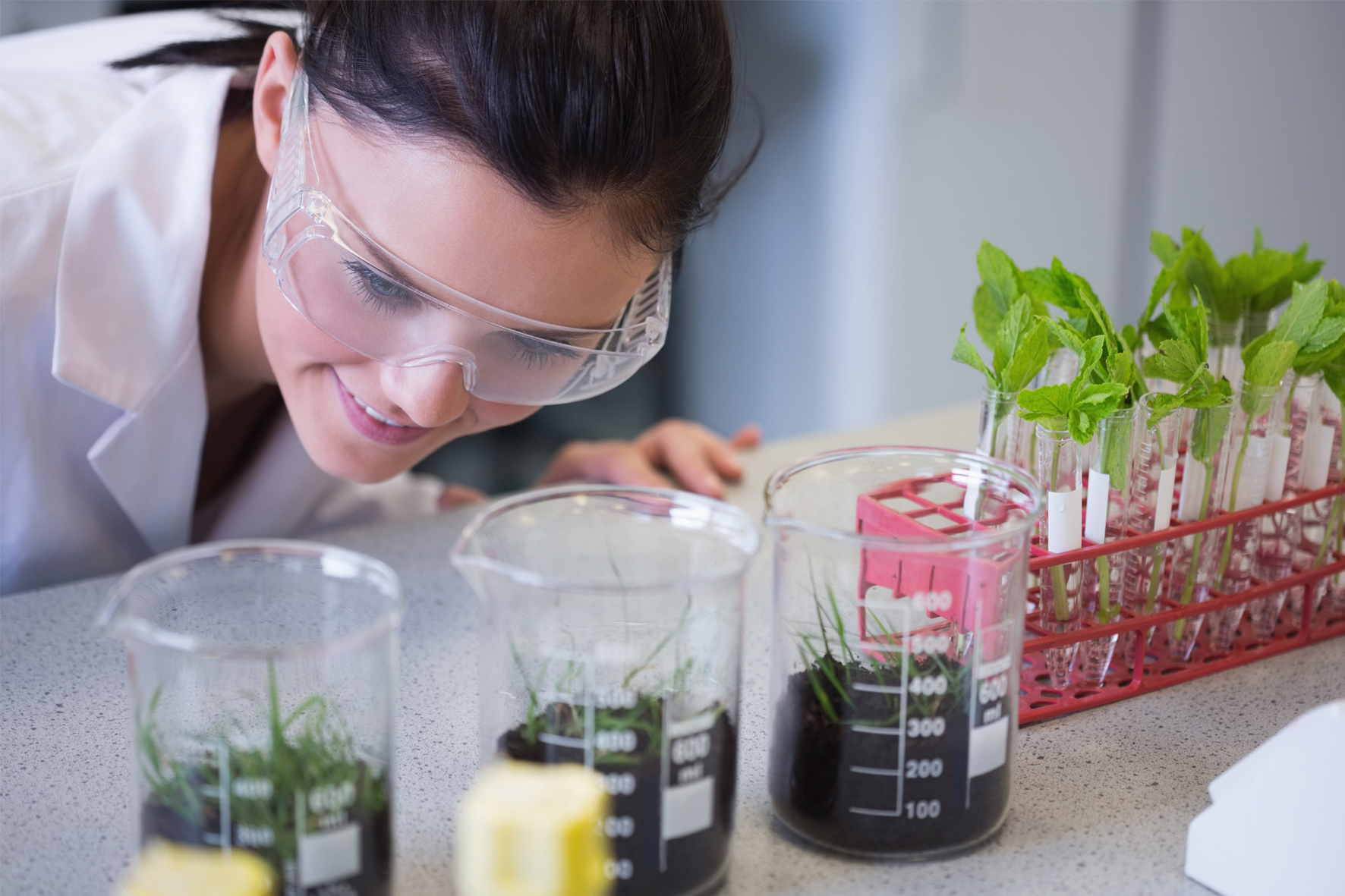 Опыты над растениями. Эксперименты над растениями. Лаборатория растений. Экспериментальные методы в экологии. Исследование растений в лаборатории.